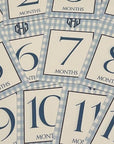 Gingham Baby Monogram Milestone Cards - Blue