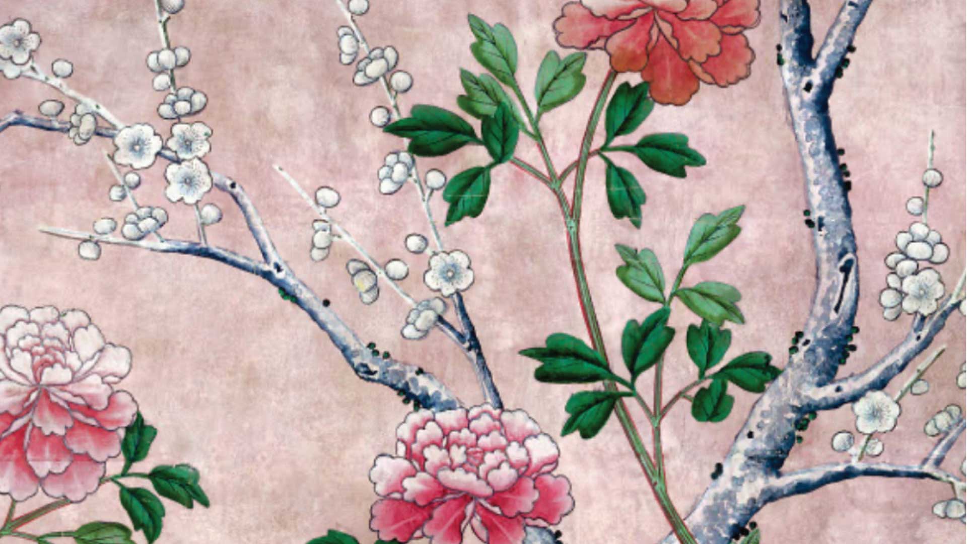 Cherry Orchid