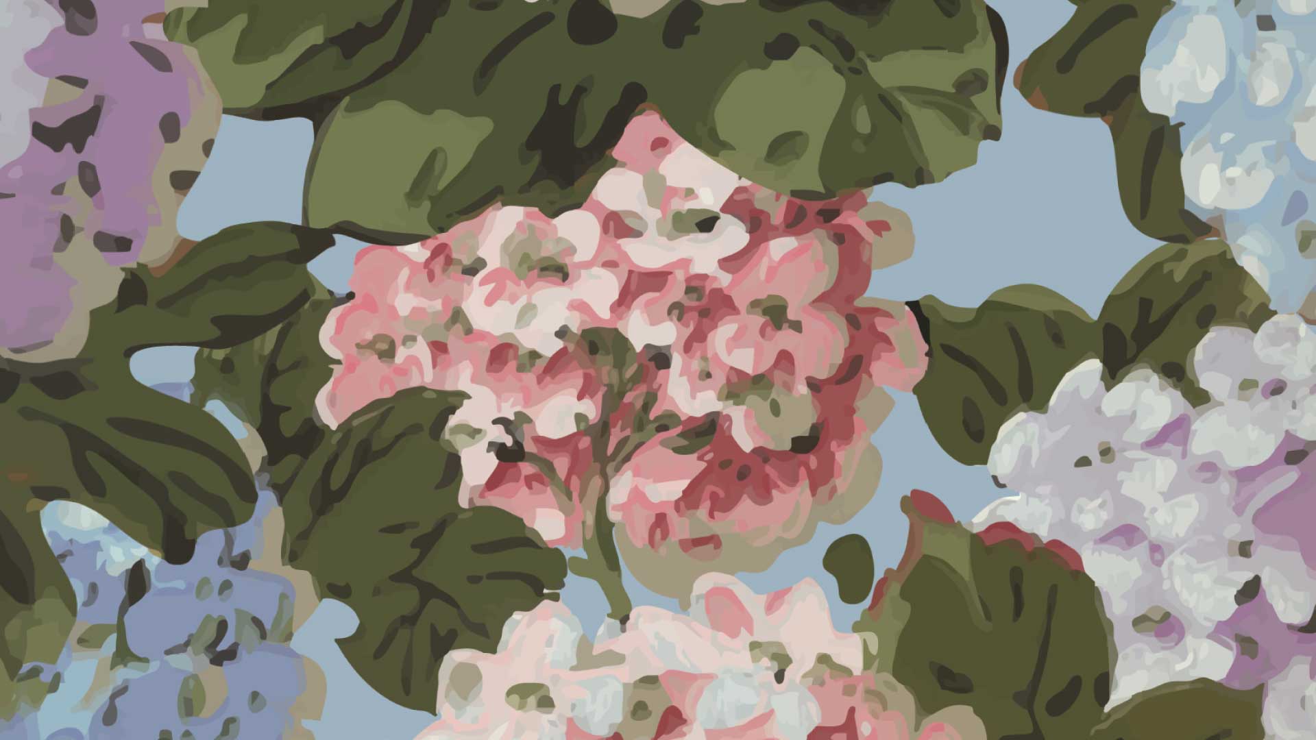 Hayley Hydrangea
