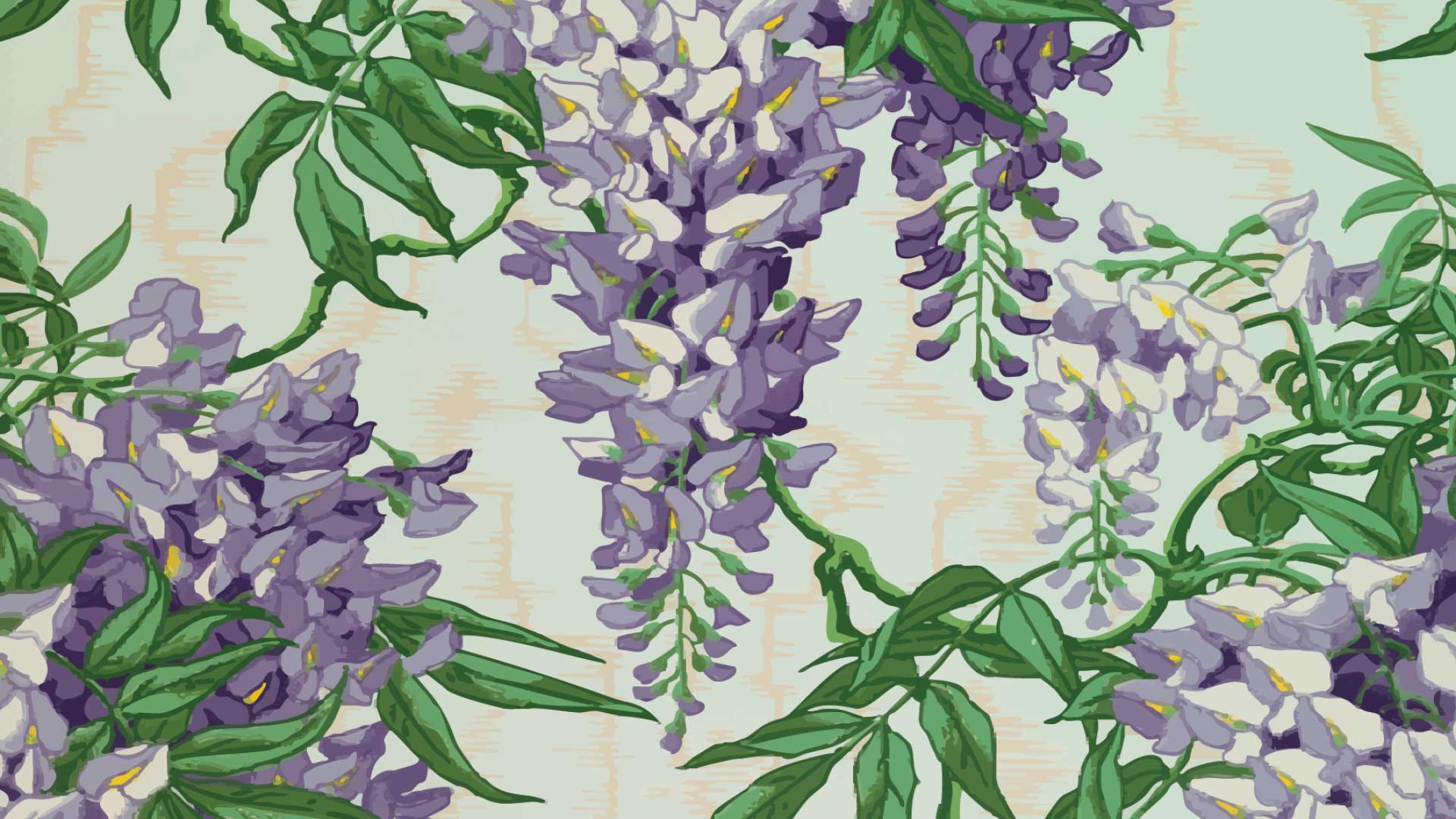 Wistful Wisteria