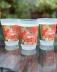 The Aimee Frosted Mahjong Cups - Set of 8