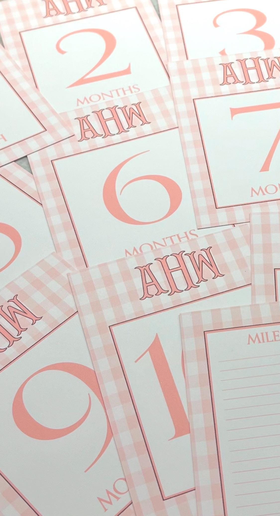 Gingham Monogram Baby Milestone Cards - Pink