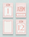 Gingham Monogram Baby Milestone Cards - Pink