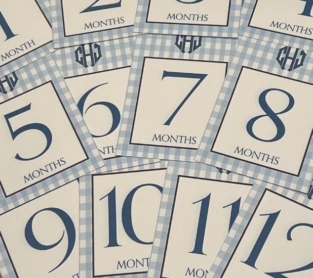 Gingham Baby Monogram Milestone Cards - Blue